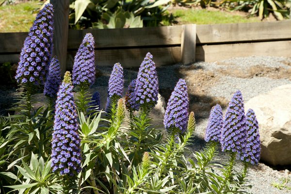 Faire la lessive pour les débutants : Comment utiliser une machine à laver